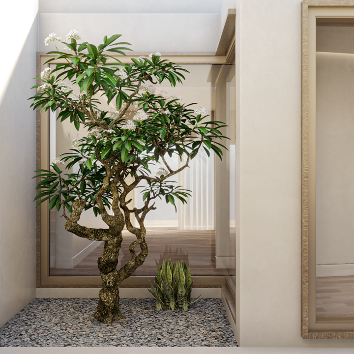 Reforma casa patio mediterráneo.